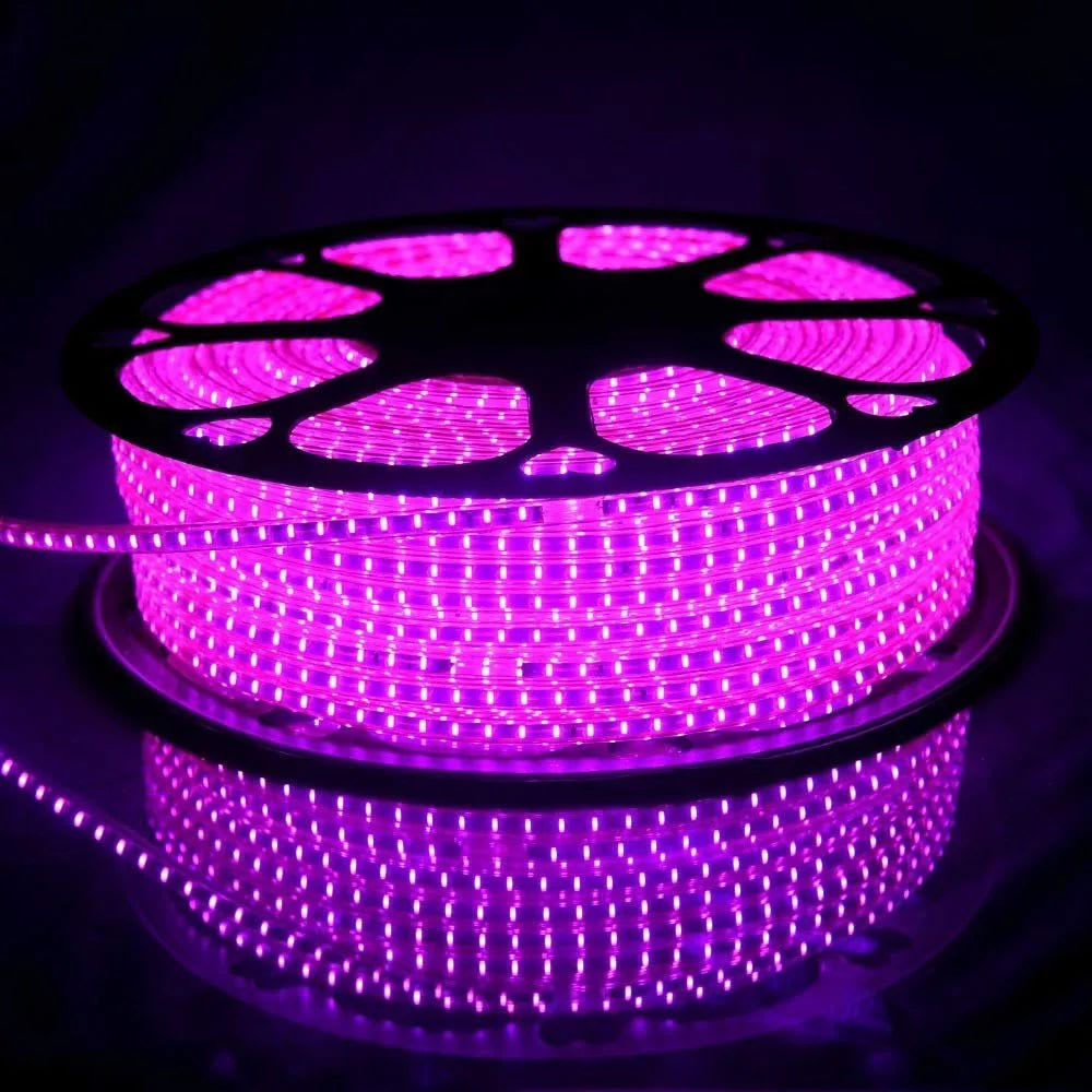 Cinta LED SMD2835 120 LED ROSA 220V